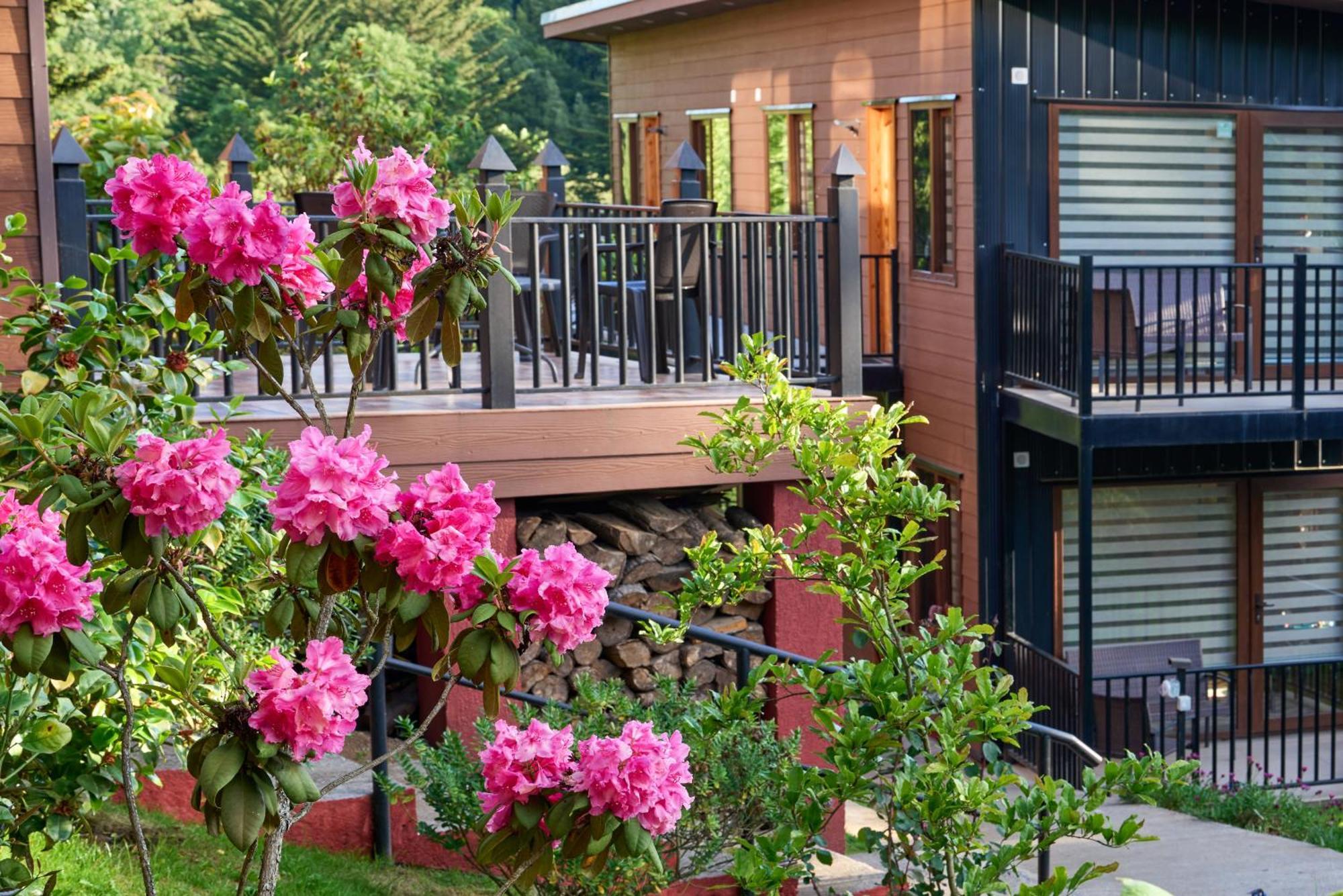 Apartamento Mirabosque New Aparments 4 *